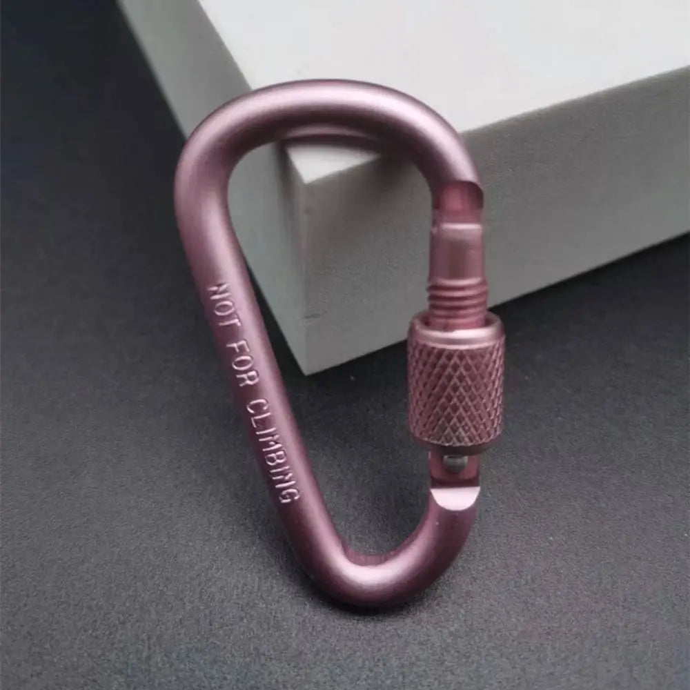 Aluminum Alloy D-Shape Carabiner – Locking Keychain Hook for Hiking