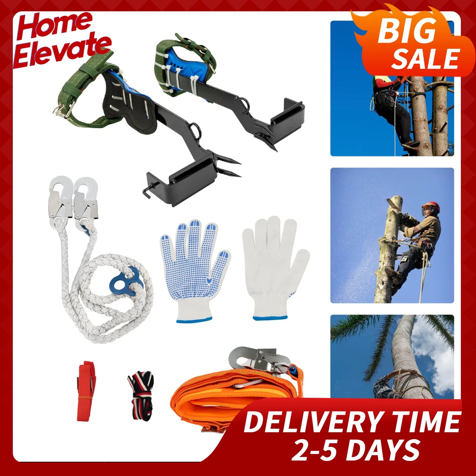 Professional Tree Climbing Gear Set – 220LB Capacity Ascension Equipment