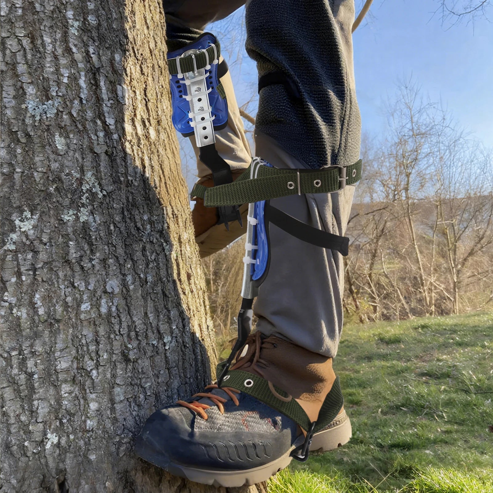 Adjustable Blue Tree Climbing Spikes with Straps – 150kg Load